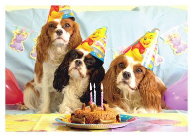 Party for Three Birthday Card