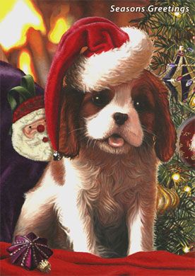Christmas Cavalier Puppy Card