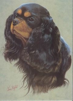 Black and Tan Painting Style Greetings Card
