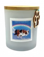 Rainbow Candle