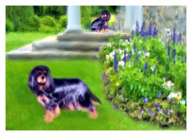 Two Black/Tan Cavaliers in the Garden Blank Greetings Card