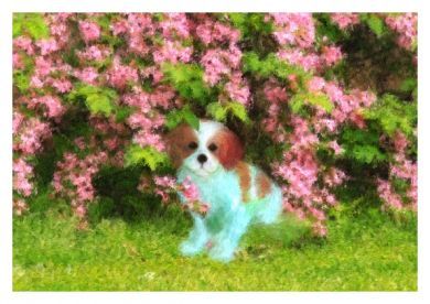 Blenheim Pup Blank Greetings Card