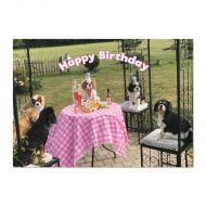 The Party Gang Cavalier Birthday Card