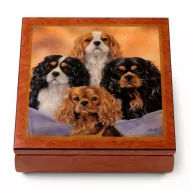 Vintage/Rare Musical Box featuring The Four Kings