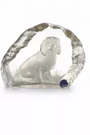 RARE, vintage Dartington Crystal Capredoni Cavalier King Charles Spaniel Paperweight 