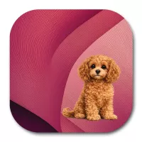 Just Our Cavapoo MDF Coaster