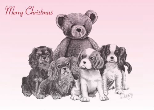 Hands Off Our Teddy Christmas Card 5 Pack
