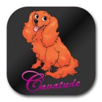 Cavatude Coaster Charcoal