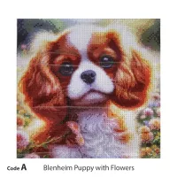 Cavaliers Diamond Painting Kits