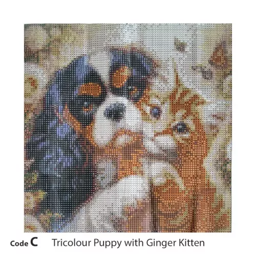 Cavaliers Diamond Painting Kits