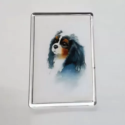 Painting Style Magnet in Tricolour and Blenheim