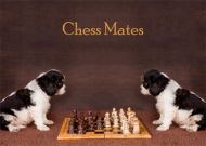 Chess Mates Blank Notelet Cards
