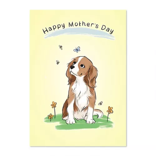 Spring Butterfly Mother's Day Card