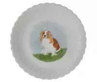 Limoges Pottery Plate