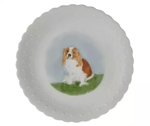 Limoges Pottery Plate