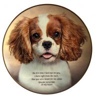 Pawprints on My Heart Collectable Plate