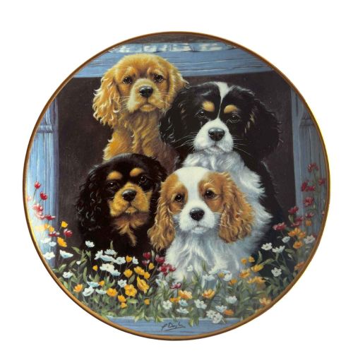 The Royal Box Collectable Plate