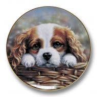 Take Me Home Paul Doyle Collectable Plate