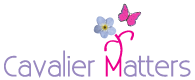 Cavalier Matters News & Events - We are at Crufts in 2020